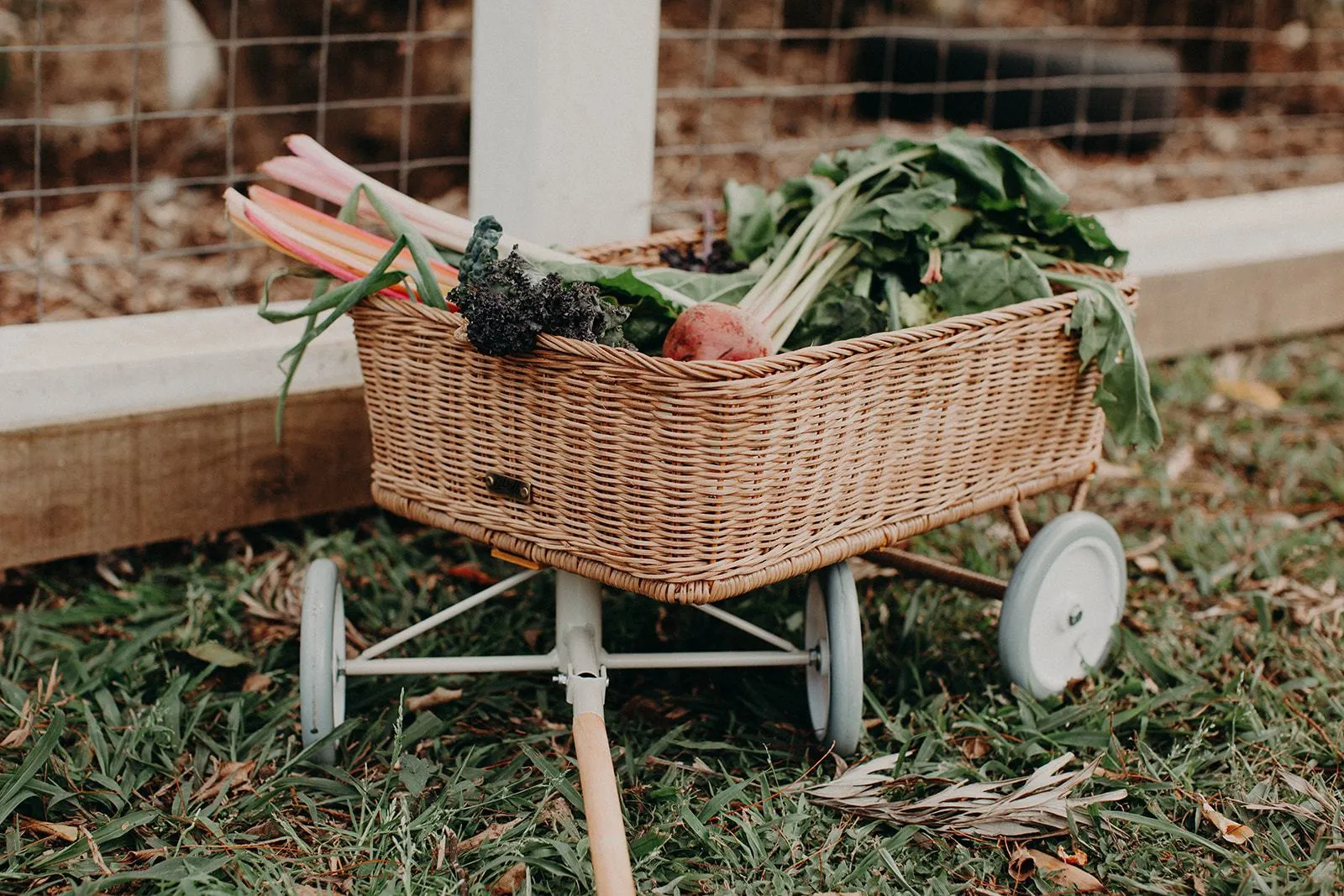 Rattan Wonder Wagon | Natural
