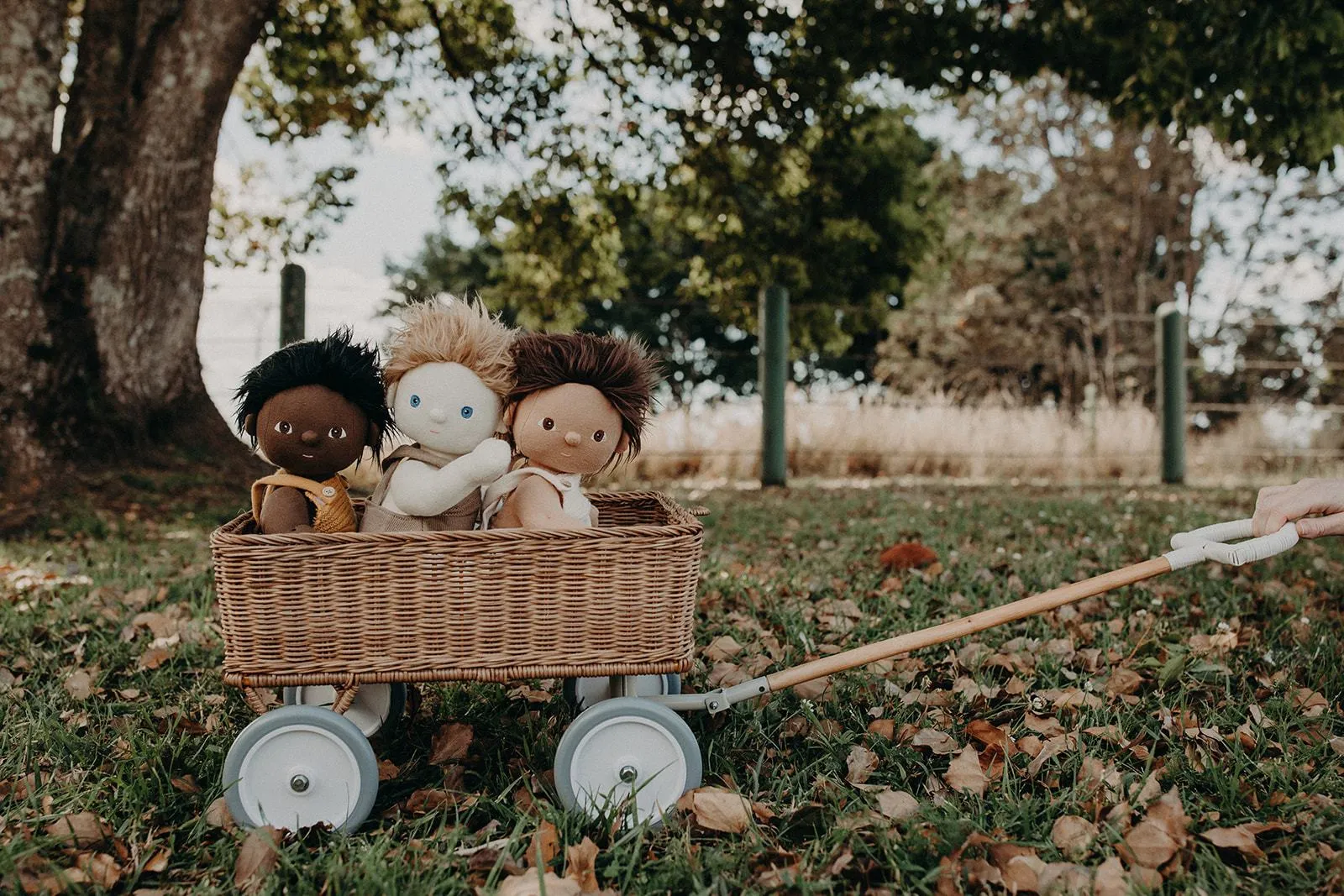Rattan Wonder Wagon | Natural
